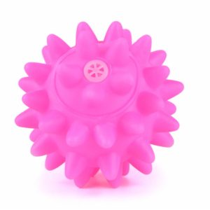 Игрушка-пищалка для собак Мяч игольчатый (6,5 см)