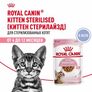 Для стерилизованных котят (в возрасте от 6 до 12 месяцев), мелкие кусочки в желе, Kitten Sterilised (1 шт)