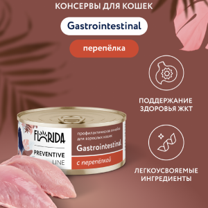 Gastrointestinal для кошек для поддержания здоровья пищеварительной системы, с перепёлкой.  Влажный, ветеринарный, диетический корм (100 г)