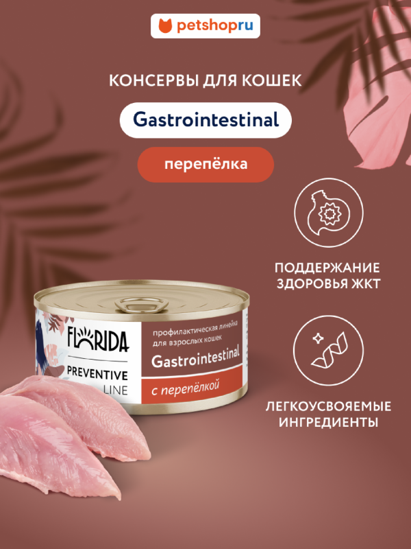 Gastrointestinal для кошек для поддержания здоровья пищеварительной системы, с перепёлкой.  Влажный, ветеринарный, диетический корм (100 г)