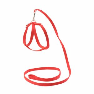 Шлейка + поводок, капроновые (Фиолетовый)
