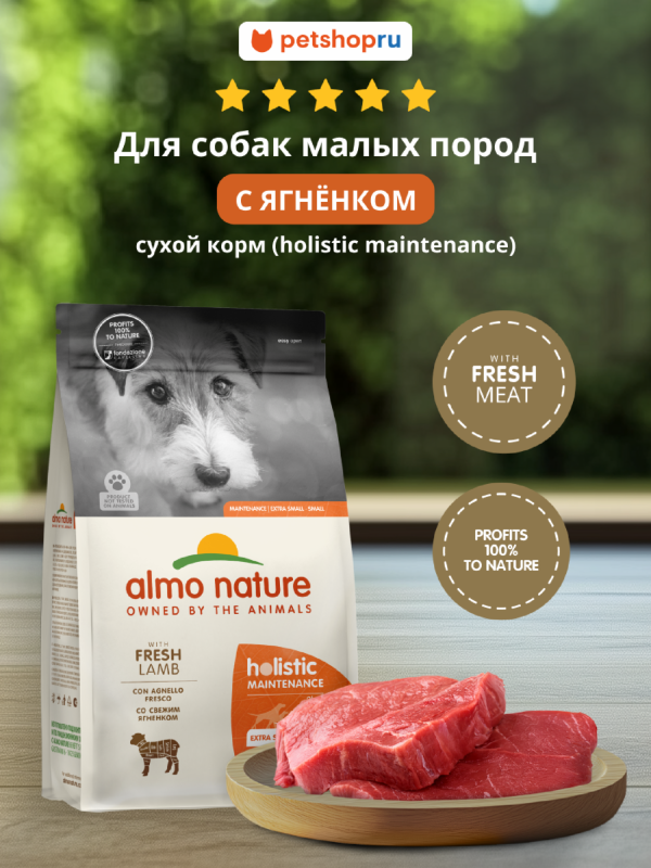 HOLISTIC сухой корм для взрослых собак малых пород со свежим ягненком, Life Maintenance, Small Breed, Fresh Lamb, 400г (400 г)