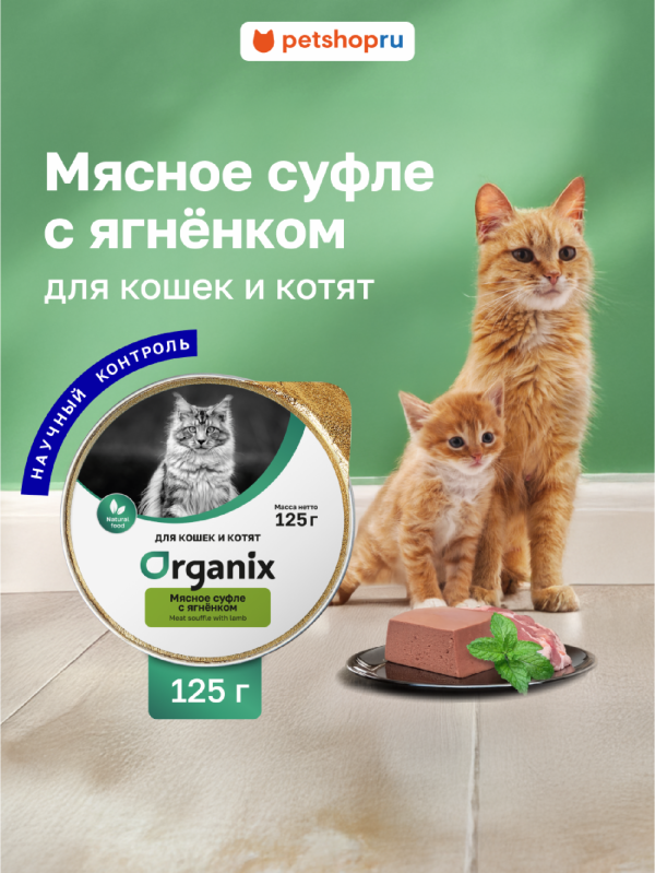 Мясное суфле для кошек и котят с ягнёнком. Влажный корм (125 г)