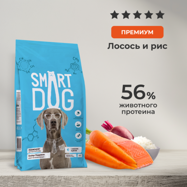 Сухой корм для взрослых собак всех пород с лососем и овощами, ADULT, Salmon and vegetables (800 г)