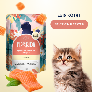 Для котят: кусочки с лососем в соусе, 1 шт. Влажный корм (85 г)