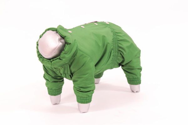 Комбинезон для собак, Киви, мальчик (XL)