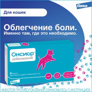 Онсиор 6мг противовосп. и болеут. препарат для кошек, 6 таблеток (24 г)