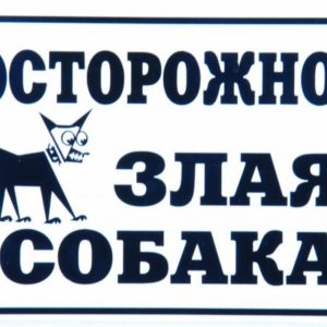 Табличка "Осторожно, злая собака" (24х17 см)