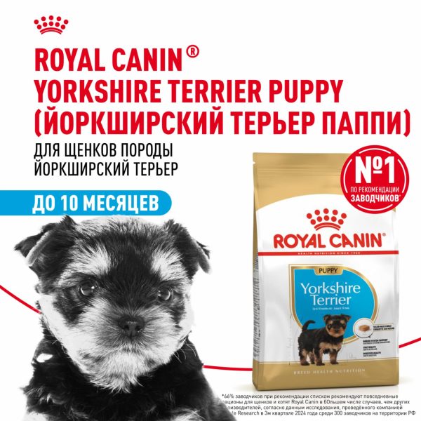 Корм сухой для щенков породы Йоркширский Терьер до 10 месяцев,  Yorkshire Terrier Puppy (1.5 кг)