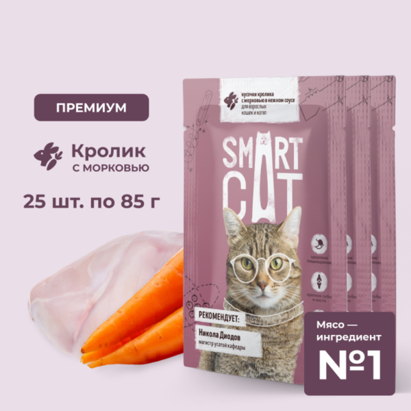 "Упаковка 25 шт"  Паучи для взрослых кошек и котят кусочки кролика с морковью в нежном соусе. Влажный корм (25 шт)