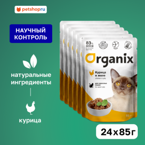 "Упаковка" для взрослых кошек: курица в желе (24 шт)