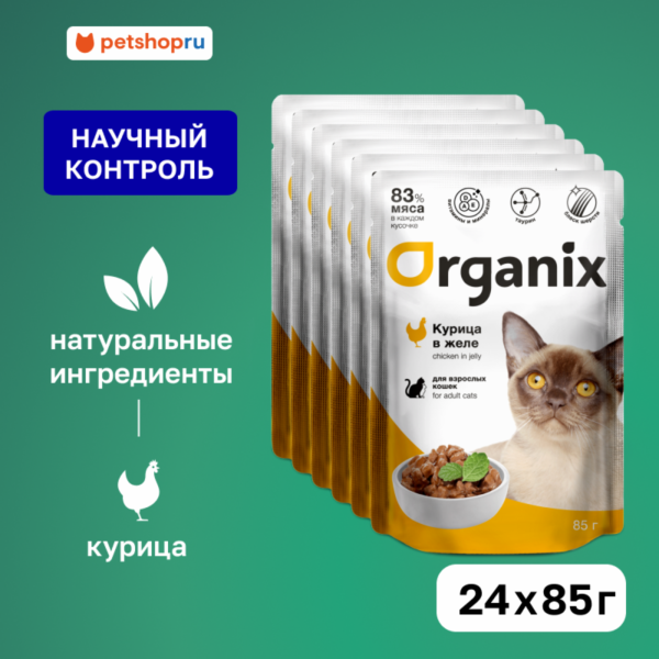 "Упаковка" для взрослых кошек: курица в желе (24 шт)